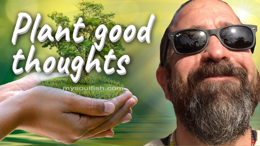 Plant good thoughts