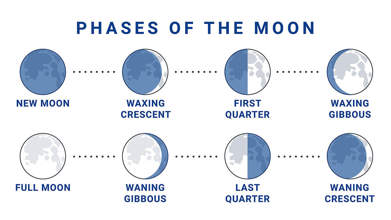 Новолуния 2024 года по месяцам таблица. To the Moon график. Moon phases. Новолуние картинка для размещения в группе.